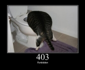 403