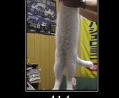 414