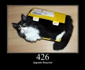 426