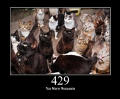 429
