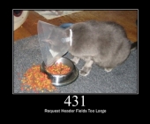 431