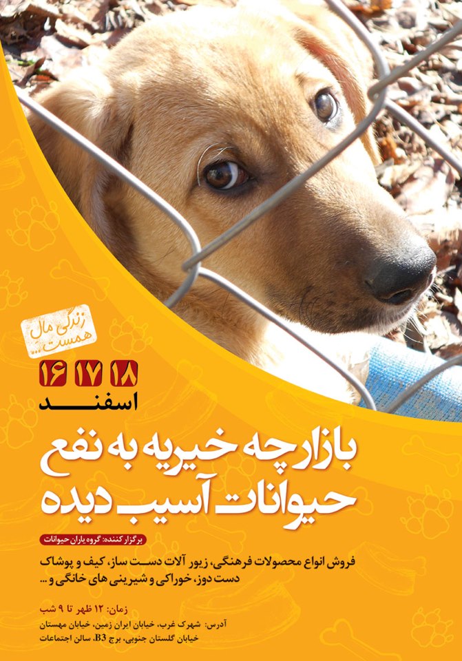 بازارچه خیریه به نفع حیوانات آسیب دیده 